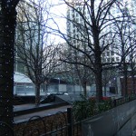 Canary Wharf trees Canary Wharf trees
